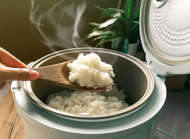 cara memperbaiki magic com nasi cepat basi